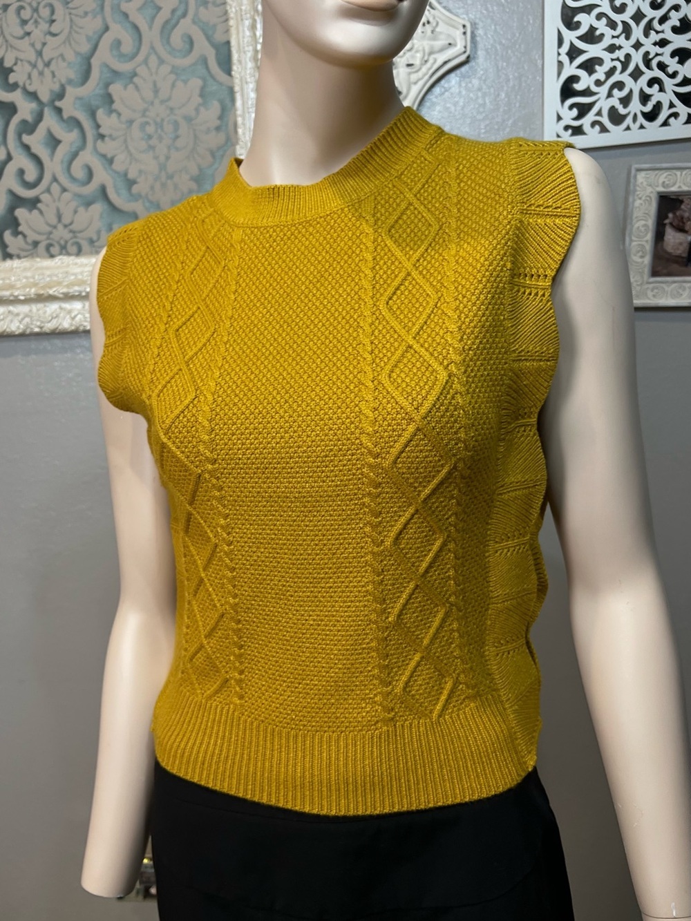 Mustard Yellow Knit Sleeveless Sweater Vest - Picture 4 of 8